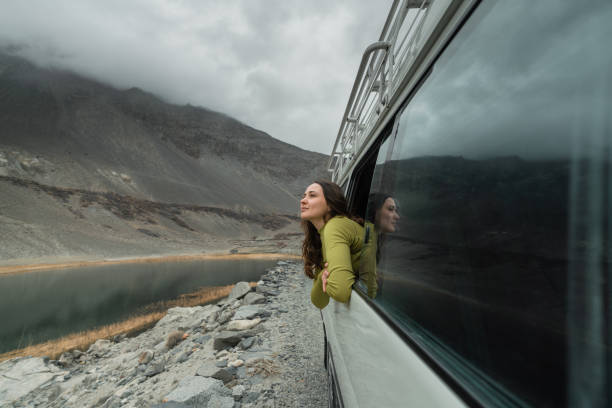 Lookmytickets Tour and Travels Pvt ltd -Tour and travels in zirakpur