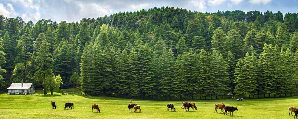 Route to world-Tour and Travels in solan