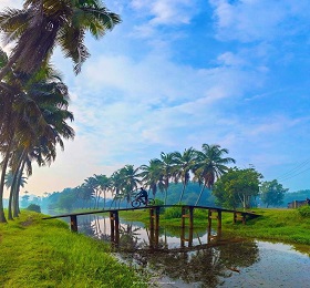 Vacation Triangle-Tour and Travels in himachal pardesh