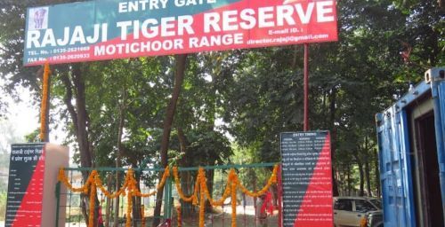 Rajaji National Park Jeep Safari Guide - Wild Life Park in Haridwar