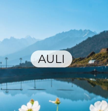 Trekmunk - Tour & Travels in Uttarakhand