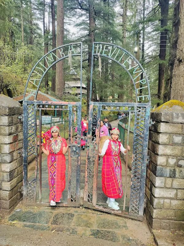 My Trip Creator Private Limited-Tour & Travels In Faridabad