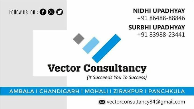 Vector Consultancy-Job Consultant in Ambala