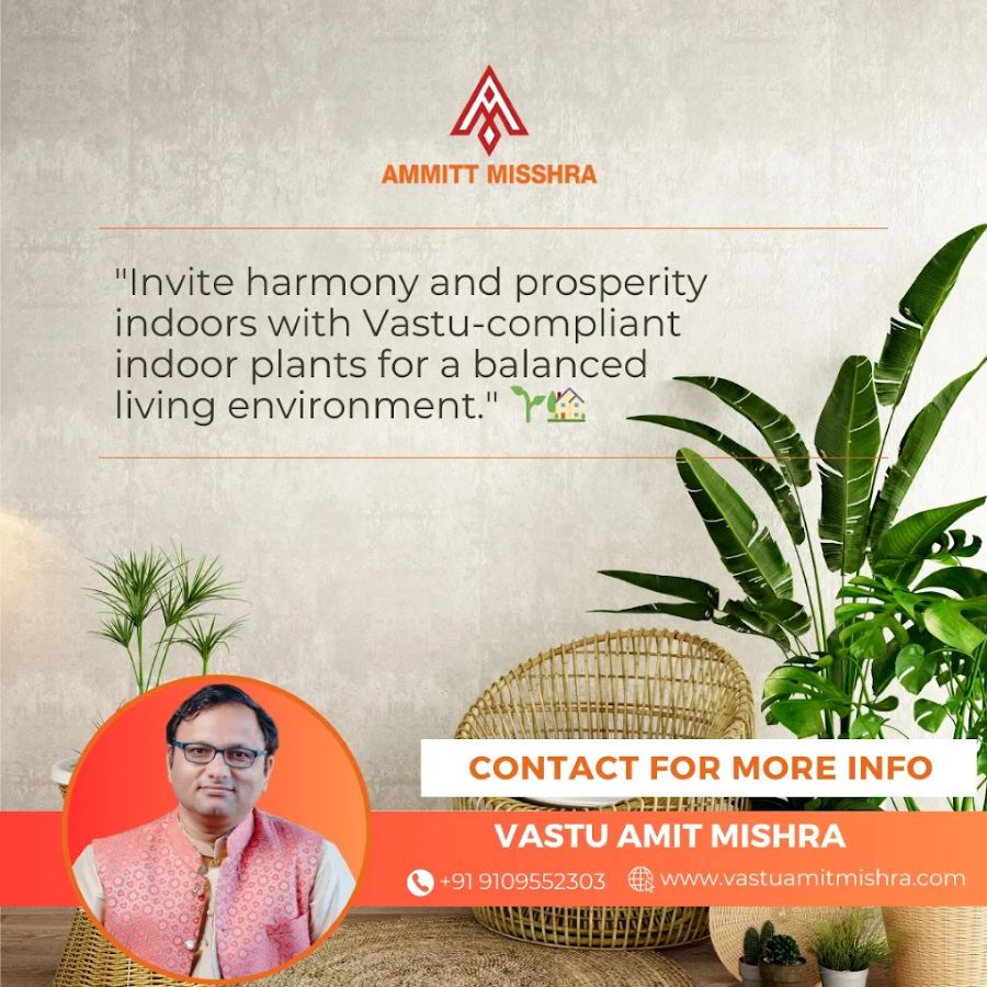 Vastu Consultant Amit Mishra-Vastu Consultants in Bhopal