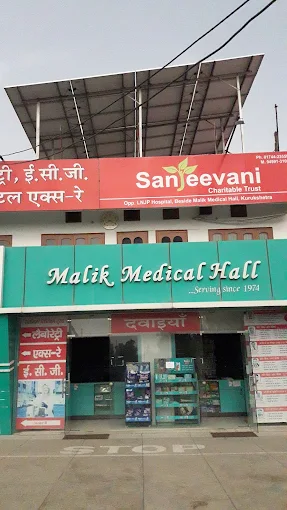 Malik Medical Hall-Chemist shops in Kurukshetra logo