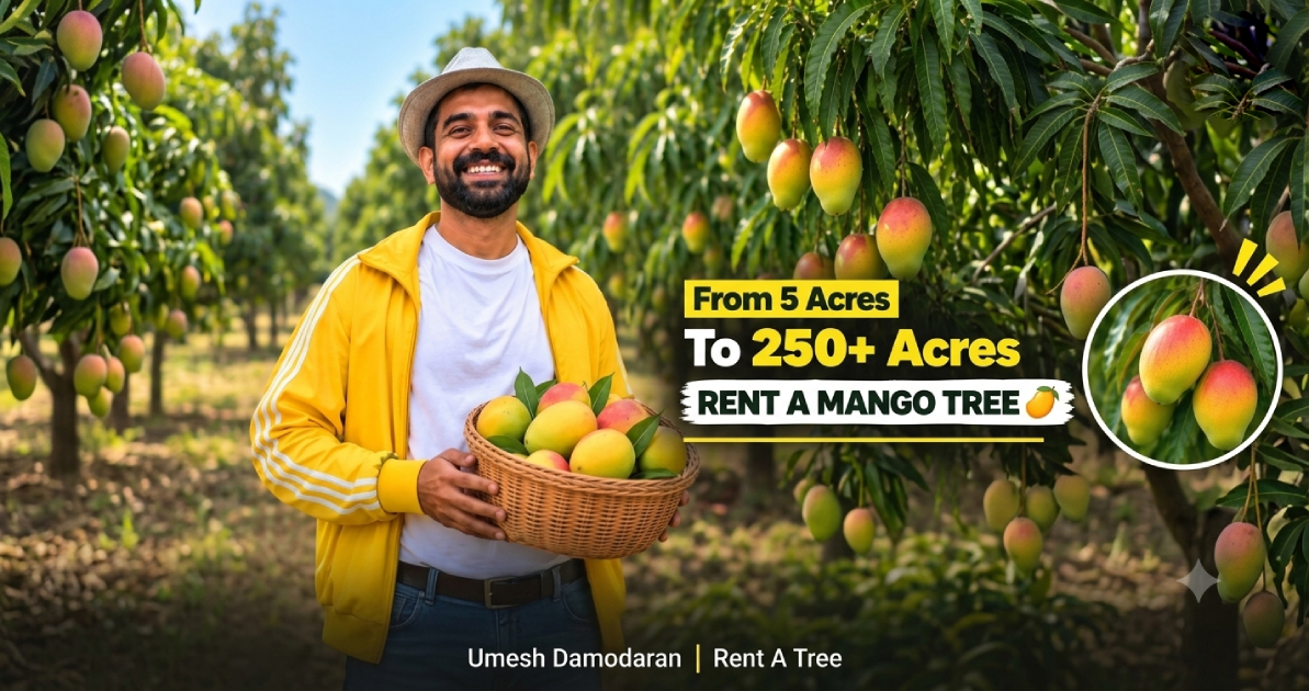 Rent A Tree: The Indian Startup Changing How We Buy Mangoes